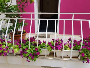 Balkón nebo terasa v ubytování Guesthouse Flora