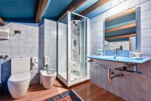 uma casa de banho com um WC, um lavatório e um chuveiro em Agriturismo Podere Villa Alessi em Cinto Euganeo