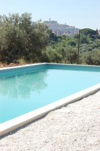 uma piscina com água azul e árvores em Sul Colle em Moricone