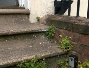 een trap naar een deur van een huis bij Regents Street Studios in Leamington Spa