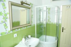 a bathroom with a sink and a shower and a mirror at Casa Blanca in Sibiu +20 photos