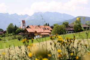 una casa en medio de un campo con flores en Ferienhaus BERGEBLICK 5S en Bad Tölz