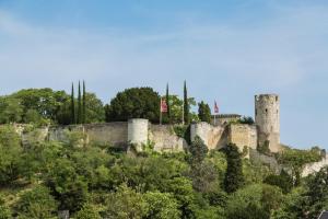 a castle on top of a hill with trees at Résidence Goélia Le Clos Saint Michel in Chinon +30 photos