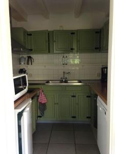 a kitchen with green cabinets and a sink at Hoeve Schoonzicht in Wijlre