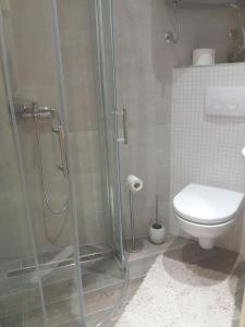 Un baño con ducha, inodoro y lavabo. en Apartman studio Petar, en Split