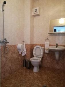 a bathroom with a toilet and a sink at Family Hotel Lipite in Tipchenitsa
