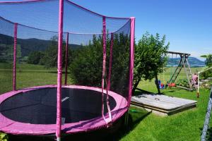 een roze trampoline in het gras met een schommel bij Ferienwohnung Hausleitner in Zell am Moos