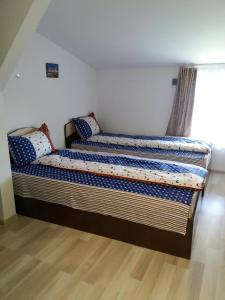 two twin beds in a room with a window at Casa Ariana in Curtea de Argeş