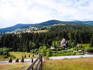 Blick auf einen Bauernhof mit Bergen im Hintergrund in der Unterkunft Pensiunea Casa Noastra in Arieşeni