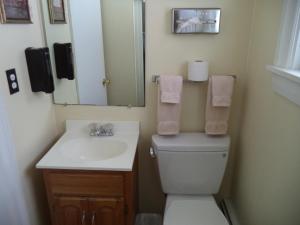 ein Badezimmer mit einem WC, einem Waschbecken und einem Spiegel in der Unterkunft Mount Blue Motel in Farmington
