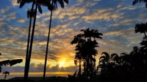 un coucher de soleil avec des palmiers et un ciel nuageux dans l'établissement Orchid Tree B&B, à Hilo