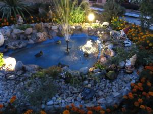 a small pond in a garden at night at Villa Artemida in Kulen Vakuf