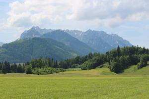 Naturlandschaft in der Nähe des Bauernhofs