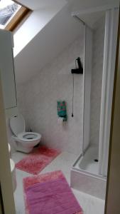 Koupelna v ubytování ApartmányDanielova