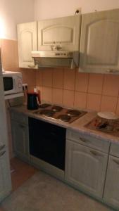Kuchyň nebo kuchyňský kout v ubytování ApartmányDanielova