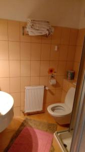 Koupelna v ubytování ApartmányDanielova