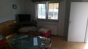 TV a/nebo společenská místnost v ubytování ApartmányDanielova