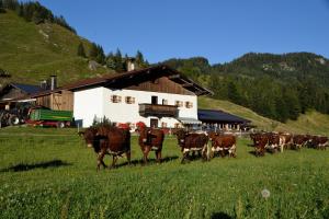 Tiere in diesem Bauernhof oder in der Nähe
