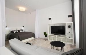 salon z kanapą i telewizorem w obiekcie Apartament Towarowa Kolobrzeg w Kołobrzegu