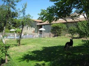 a black cat standing in the grass in front of a house at Domaine les Galards in Le Garde
