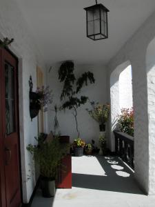 Gallery image of The Old Courthouse Inn in Powell River