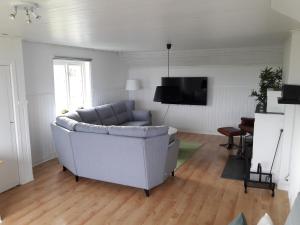uma sala de estar com um sofá e uma televisão em Orsastuguthyrning-Digerberget em Orsa