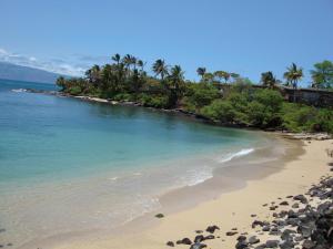 a beach with rocks and palm trees and the ocean at Maui Beach House B & B in Kahana