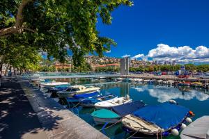Un montón de barcos están atracados en un puerto deportivo. en Small, sweet & cosy apartments, en Rijeka