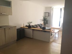 A kitchen or kitchenette at Apartament El Pou