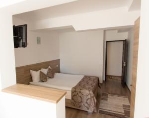 een hotelkamer met een bed en een televisie bij La Conac in Vaslui