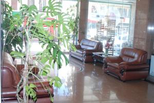 une salle d'attente avec des fauteuils en cuir et une plante dans l'établissement Evergreen Hotel, à Antananarivo