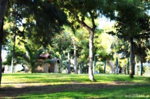 A garden outside The Grove House