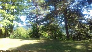 a grassy field with trees and a hill in the background at Loft Les Tourelles in Andon