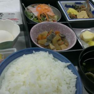 a tray of rice and other foods on an airplane at Sky Hotel Uozu in Uozu