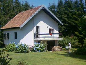 Κήπος έξω από το Planinska kuća Vladanka - planina Goč - banjska strana - preko puta ski staze