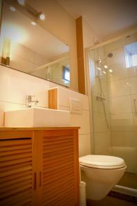 een badkamer met een toilet, een wastafel en een spiegel bij Kieler FeWo No.2 in Kiel