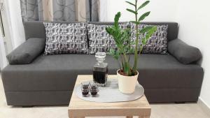 Posezení v ubytování Apartment Smodlaka