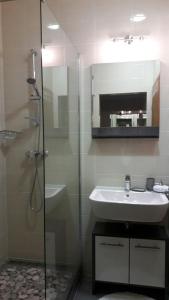Een badkamer bij Apartment Smodlaka