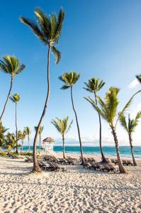 a group of palm trees on a beach at Occidental Punta Cana - All Inclusive in Punta Cana