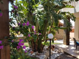 a garden with a palm tree and purple flowers at Villa Galleria in Perivolia