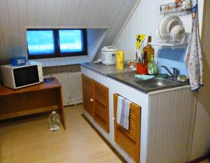 アルハンゲリスクにあるДом с мансардойの小さなキッチン(シンク、電子レンジ付)