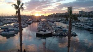 Un grupo de barcos atracados en un puerto deportivo al atardecer en LOVE ALICANTE, en Alicante