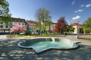 Bazén v ubytování Hotel Vysocina nebo v jeho okolí
