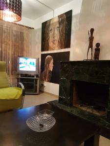 TV i/ili zabavni centar u objektu Villa Galleria