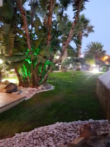 a view of a yard with palm trees at night at Villa Galleria in Perivolia