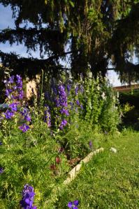 A garden outside El Jardin de Manuela