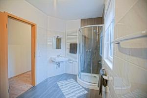 a bathroom with a shower and a sink at Stettiner Haff Nebengebäude in Mönkebude