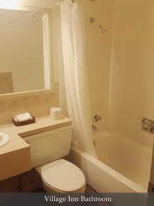 uma casa de banho com um WC, um lavatório e uma banheira em Crystal Mountain Hotels em Crystal Mountain