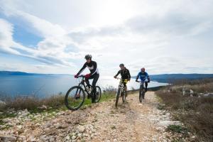 three people riding bikes on a trail near the water at Pension Silvia in Portorož