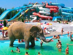 Parc aquatique au sein de l'appartement ou à proximité